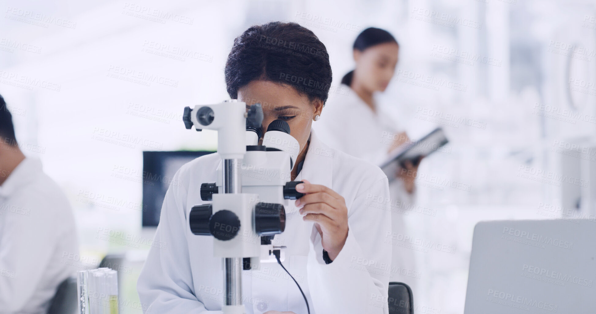 Buy stock photo Science, lab and woman with sample in microscope for study, medical research and vaccine development. Chemistry, pharmaceutical and scientist with equipment for medicine, experiment and discovery