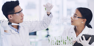 Buy stock photo Team, scientist or test tube for plant research, medical development or gmo experiment. Science lab, botany or collaboration of people with pipette for growth study, ecology or innovation with tablet