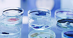 Petri dish, colorful samples and science with research, biology and virus with chemistry. Empty, investigation or test for bacteria cells in laboratory, cure and medical study with results or vaccine