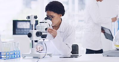 Buy stock photo Microscope, research and sample with woman in lab for chemical study, medical and molecule. Microbiology particles, discovery and vaccine experiment with scientist in clinic for cure and pharmacy