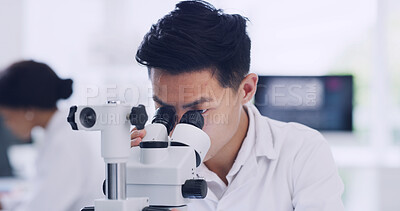 Buy stock photo Science, lab and man with sample in microscope for study, medical research and vaccine development. Chemistry, pharmaceutical and scientist with equipment for medicine, experiment and discovery