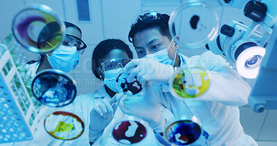 Buy stock photo Bacteria, petri dish and science with people in laboratory for biology or research from below. Investigation, sample and test with medical team at work for clinical trial, cure or vaccine study