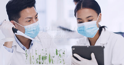 Buy stock photo Team, scientist and tablet in lab for plant research, medical development or gmo experiment. Science technology, botany and people with PPE for growth study, ecology or test tube with pipette