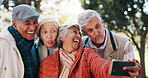 Senior friends, selfie and funny face at park for happy memory, tongue out or group laugh together. Profile picture, elderly men and women outdoor for silly photo, social media update and retirement