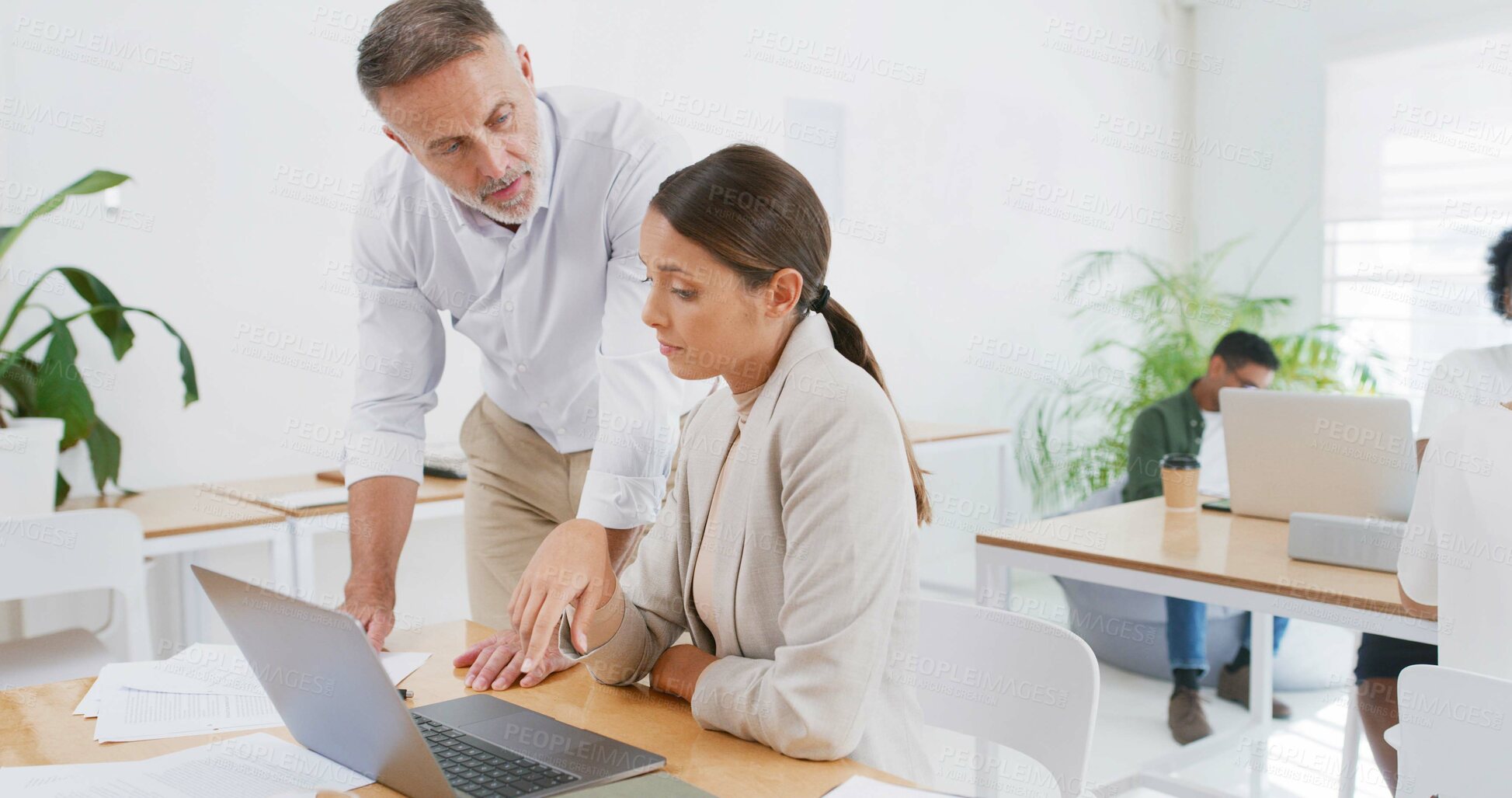 Buy stock photo Laptop, mentor and help with business people in office for design briefing, internship program or advice. Project research, branding intern and mature man with woman in startup for portfolio coaching