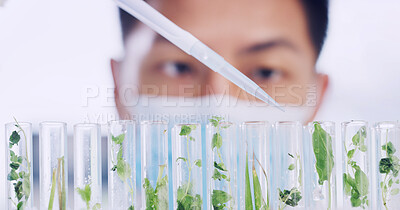 Buy stock photo Science, lab and man with plants in test tube for research, medical study and medicine development. Healthcare, biology and scientist with sample and pipette for vaccine, discovery and experiment