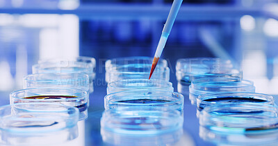 Buy stock photo Medical, pipette or liquid in lab with petri dish, biotechnology or blood test for vaccine development. Science, dna exam or expert in clinic with sample, research or analysis in pharmaceutical study