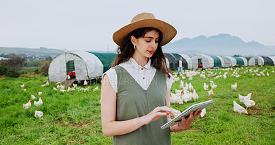 Buy stock photo Agriculture, woman and typing with tablet on chicken farm for flock health, livestock update or records. Poultry industry, farmer or tech for agro business, sustainable production and quality control