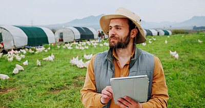 Buy stock photo Agriculture, tablet and thinking with man on chicken farm for planning, strategy or sustainability. App, poultry and vision with farmer person outdoor on grass field for management of livestock