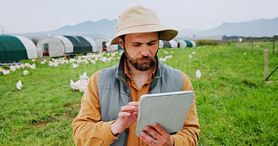 Buy stock photo Agriculture, man and tablet on chicken farm for flock inspection, animal health and livestock update. Poultry industry, farmer or tech for agro worker, sustainable production and quality assurance