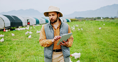Buy stock photo Agriculture, man and tablet on chicken farm for inspection, livestock health and monitor growth. Poultry industry, farmer and tech in countryside for agro worker, egg production and quality control