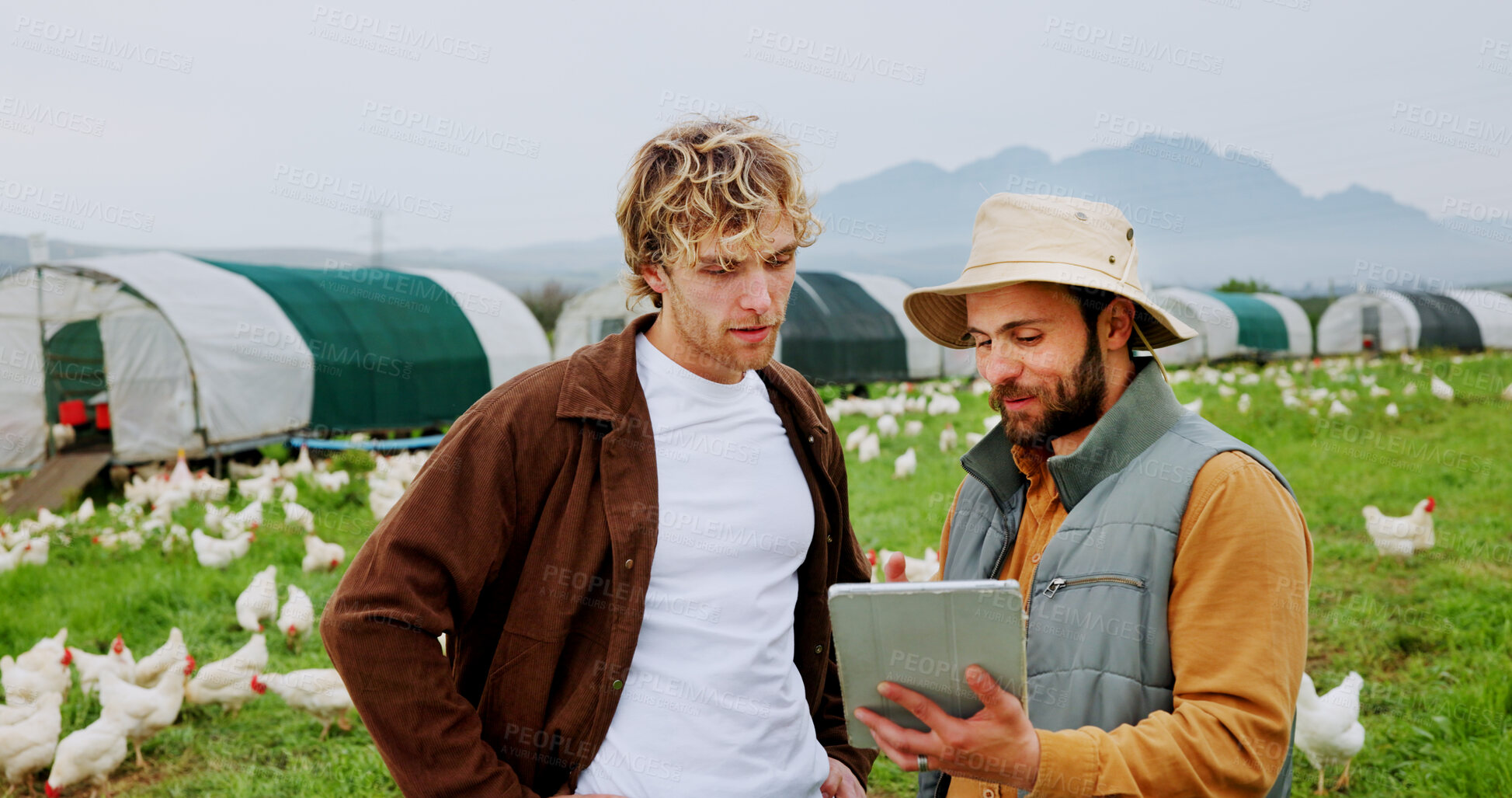 Buy stock photo Agriculture, men or talking with tablet on chicken farm for flock health, monitor growth or inspection. Poultry industry, farmer or team with app for egg production, agro job or livestock update