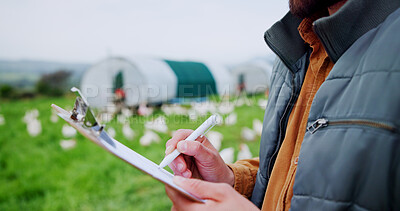 Buy stock photo Chicken, farm and document with hands of person for agriculture, poultry flock records or livestock update. Animal tracking, report and clipboard with farmer for free range eggs in countryside