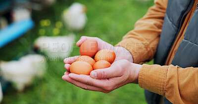 Buy stock photo Chicken, farm and eggs with hands of person for agriculture, poultry flock or livestock update. Animal tracking, quality control and organic ranch with farmer for free range protein in countryside