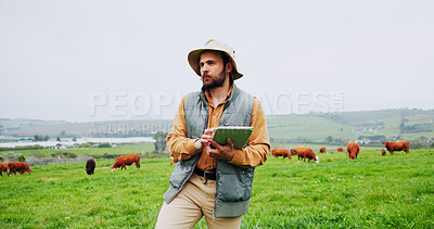 Buy stock photo Man, tablet and scroll for farming, cows or checklist for livestock management with space. Person, farmer and cattle with application, review and agriculture stats with food production in countryside