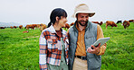 Couple, entrepreneur or tablet with cows on grass field, inspection or agriculture in diary farming. Sustainable business, pasture or people with tech to check milk production, cattle or teamwork