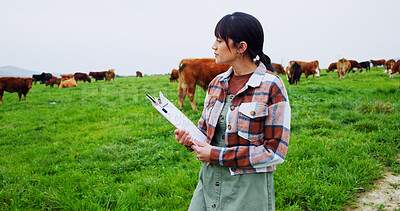 Buy stock photo Woman, farm and inspection with clipboard for livestock, agriculture or economic production. Female person, farmer or cows with animals or checklist for agro business or development on farmland