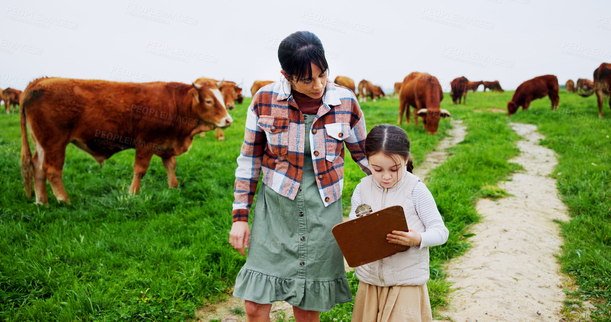 Buy stock photo Cows, farming or mother with girl, clipboard or checklist with nature, cattle inventory or growth. Farmer, parent or mom with daughter, agriculture or animal herd tracking with sustainability report