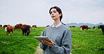 Woman, tablet and thinking with farming, cows or checklist for livestock management with space. Person, farmer and cattle with app, review and agriculture with food production stats in countryside