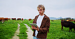 Cows, research and tablet with man on farm for agriculture or sustainability management. App, cattle and checklist with farmer person outdoor in countryside for agribusiness development or planning
