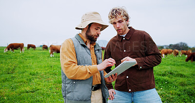 Buy stock photo Men, farm and tablet with livestock for food production, cattle management or agriculture in nature. Male people, farmers or technology with cows or animals for rural economic growth or development