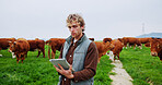 Man, tablet and click for farming, cattle or checklist for livestock management with space. Person, farmer and cows with application, review and agriculture stats with food production in countryside