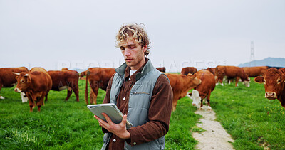 Buy stock photo Man, tablet and click for farming, cattle or checklist for livestock management with space. Person, farmer and cows with application, review and agriculture stats with food production in countryside