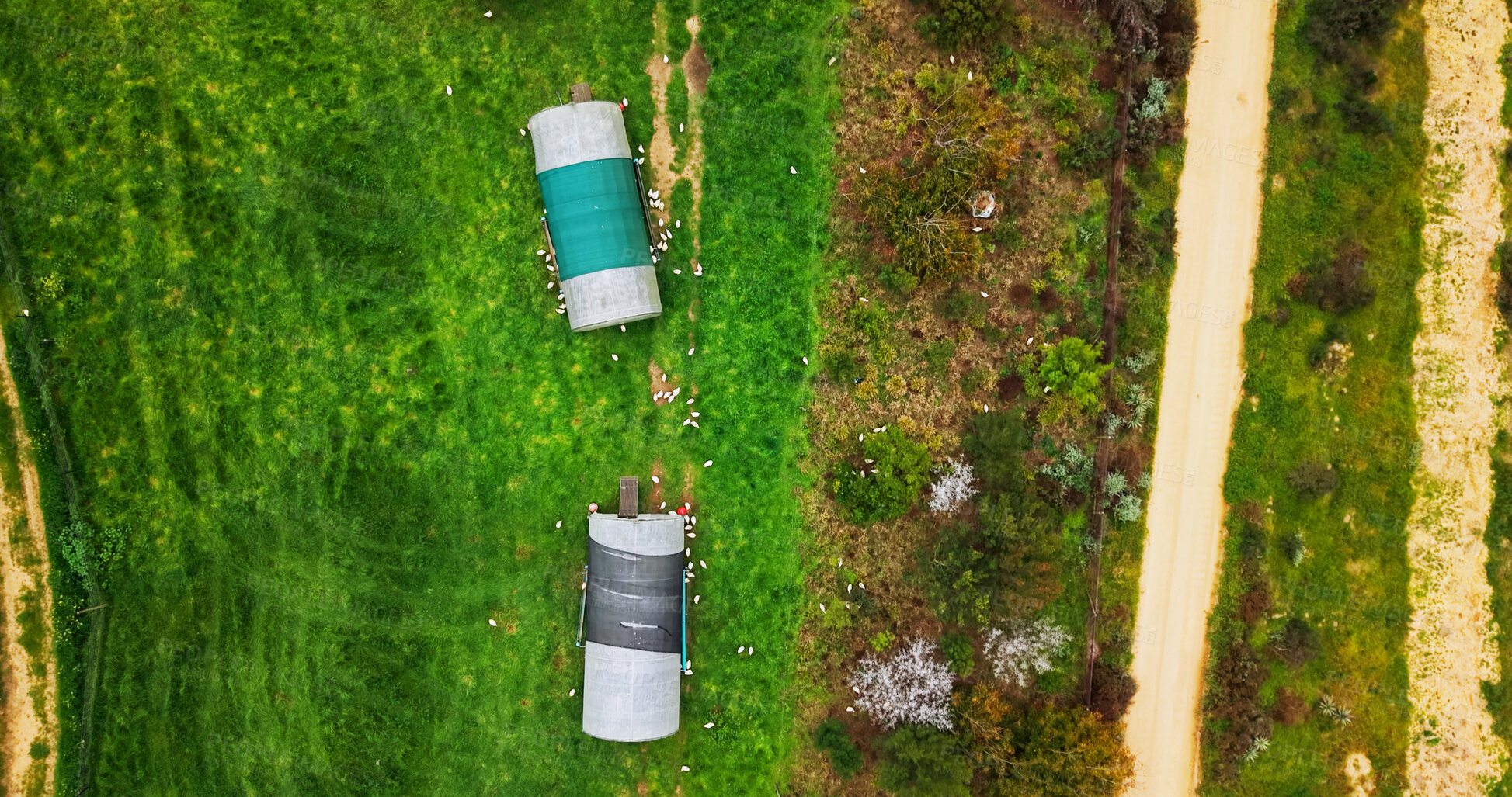 Buy stock photo Aerial, agriculture and coop on poultry farm for free range or organic sustainability of environment. Above, agribusiness and space with hen house on green landscape for chicken or livestock industry