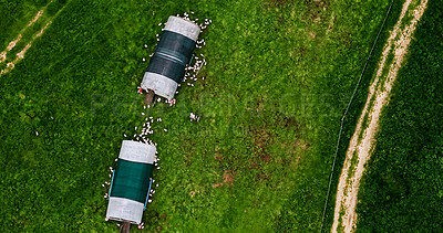 Buy stock photo Aerial, chicken and coop on farm for free range or organic sustainability of agriculture environment. Above, industry and space with hen house on green landscape for livestock or poultry agribusiness
