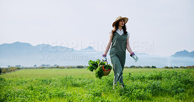 Buy stock photo Walking, farmer and woman with carrots in farm, harvest and natural produce for sustainable business. Outdoor, person and vegetables in countryside, gardening and growth for agriculture or space