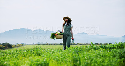 Buy stock photo Countryside, harvest and woman with carrots, walking and natural vegetables for sustainable business. Outdoor, person and fresh produce in farm, gardening and food growth for agriculture and space