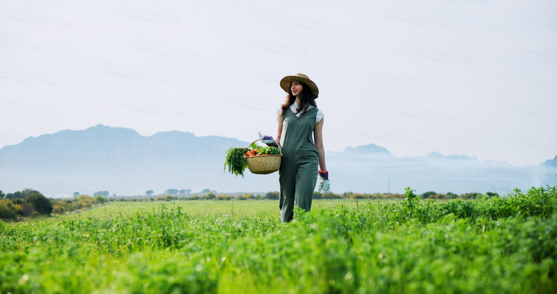 Buy stock photo Countryside, harvest and woman with carrots, walking and natural vegetables for sustainable business. Outdoor, person and fresh produce in farm, gardening and food growth for agriculture and space