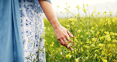 Buy stock photo Hands, flowers and woman in field, nature and environment with journey, calm and vacation. Outdoor, plants or person with adventure, earth day and summer holiday with tourist, walking and countryside