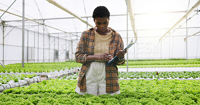 Buy stock photo Greenhouse, inspection and woman with clipboard, plants and sustainability for vegetables and crops. Produce, hydroponic farming and black person with checklist for quality check or horticulturist