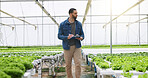 Man, agriculture and greenhouse with clipboard for inspection, harvest or food production. Male person, farmer or monitoring natural growth for sustainability, conservation or indoor agro business
