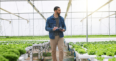 Buy stock photo Man, agriculture and greenhouse with clipboard for inspection, harvest or food production. Male person, farmer or monitoring natural growth for sustainability, conservation or indoor agro business