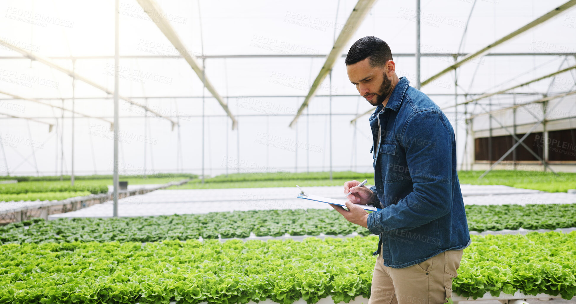 Buy stock photo Man, agriculture and greenhouse with clipboard for harvest inspection or food production. Male person, farmer or monitoring natural growth for sustainability, conservation or indoor agro business