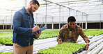 Farming, clipboard and people with plants in greenhouse for inspection for growth, produce and health. Agriculture, sustainability and farmers with checklist for organic crops, harvest and vegetables