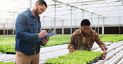 Buy stock photo Farming, clipboard and people with plants in greenhouse for inspection for growth, produce and health. Agriculture, sustainability and farmers with checklist for organic crops, harvest and vegetables