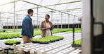 Farm, talking and people with plants in greenhouse for inspection for growth, produce and health. Agriculture, sustainability and farmers with clipboard for organic crops, harvest and vegetables