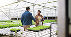 Farm, handshake and people with plants in greenhouse for growth, produce and sustainable business. Agriculture, teamwork and farmer with person shaking hands for organic crops, harvest and vegetables