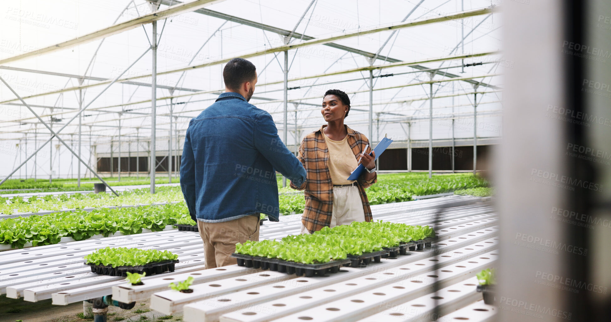 Buy stock photo Farm, handshake and people with plants in greenhouse for growth, produce and sustainable business. Agriculture, teamwork and farmer with person shaking hands for organic crops, harvest and vegetables