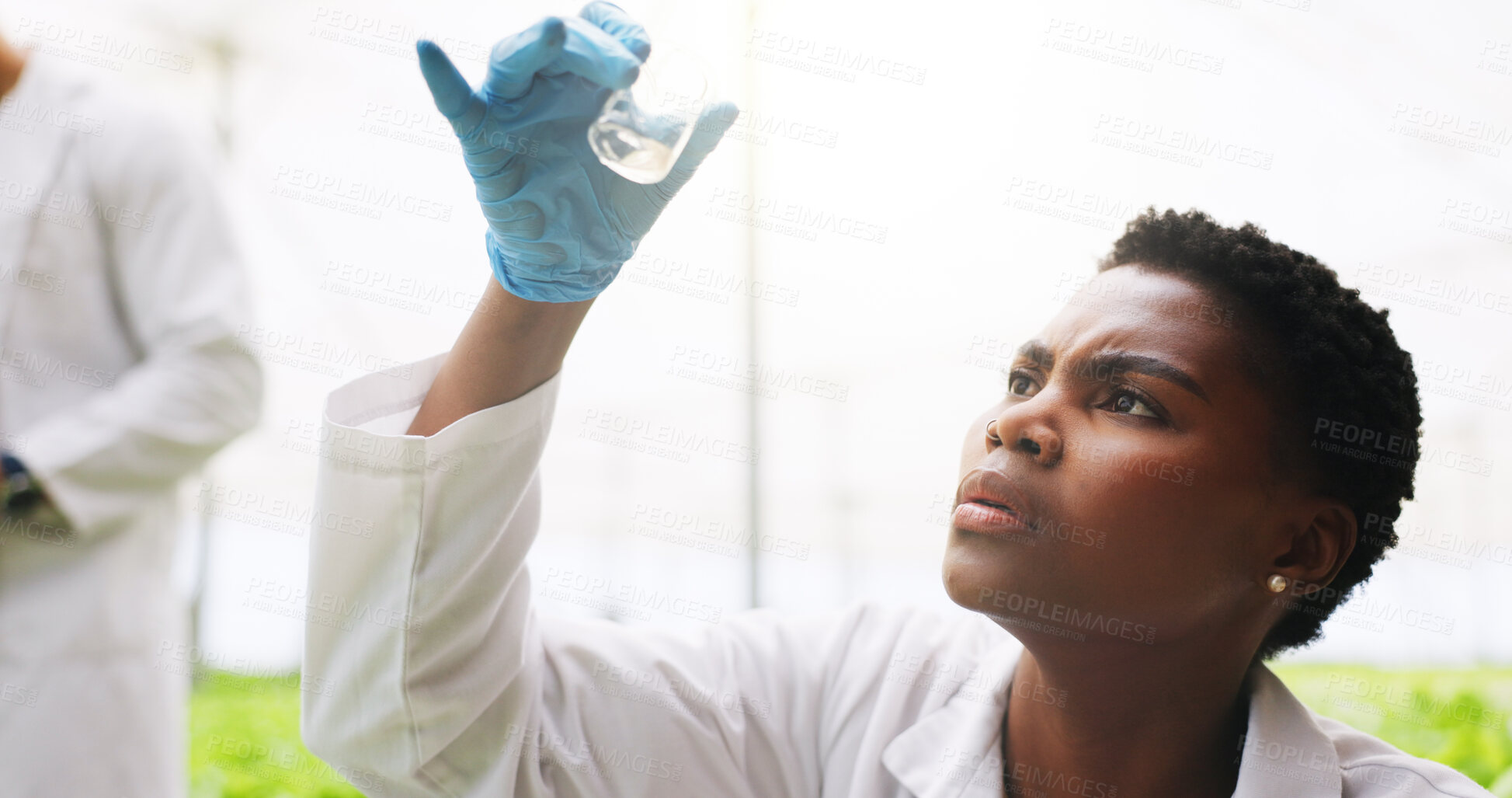 Buy stock photo Cylinder, woman and scientist in greenhouse for study, discovery or project for pharmaceutical. Glass, thinking and female biologist with botany for healthcare innovation with medical research.