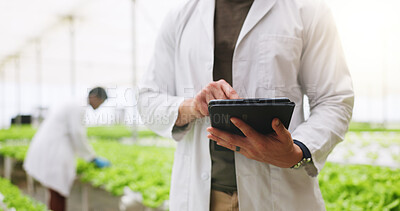 Buy stock photo Hands, tablet and scientist in greenhouse for vegetables, click or inspection for growth. Person, agriculture and sustainability with tech, check application and agro research with gmo leafy greens