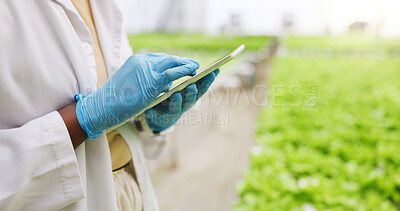 Buy stock photo Hands, tablet and scientist in greenhouse for inspection, scroll or vegetables for growth. Person, agriculture and sustainability with tech, check application and agro research with gmo leafy greens