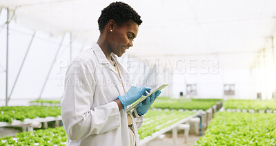 Buy stock photo Black woman, tablet and scientist in greenhouse with report, review or vegetables for growth. Person, agriculture and sustainability with tech, app or profile with gmo leafy greens for agro research