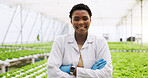 Black woman, arms crossed and scientist in greenhouse for smile, portrait or vegetables for growth. Person, agriculture and sustainability with confidence, pride or agro for gmo leafy greens in Kenya