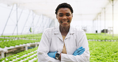 Buy stock photo Black woman, arms crossed and scientist in greenhouse for smile, portrait or vegetables for growth. Person, agriculture and sustainability with confidence, pride or agro for gmo leafy greens in Kenya