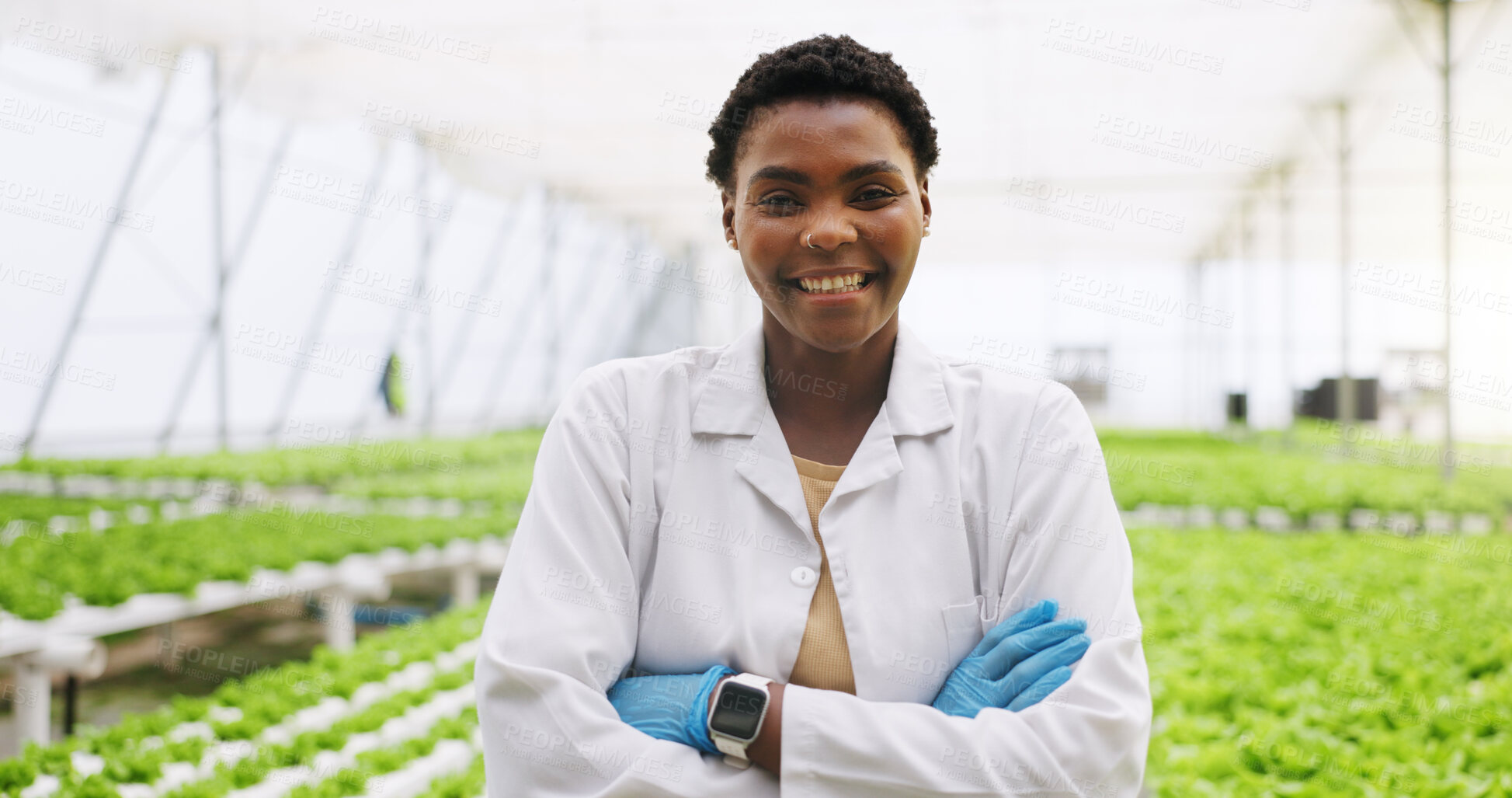 Buy stock photo Black woman, arms crossed and scientist in greenhouse for smile, portrait or vegetables for growth. Person, agriculture and sustainability with confidence, pride or agro for gmo leafy greens in Kenya