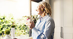 Coffee, memory and senior woman by window in home for reflection, nostalgia or dreaming in morning. Cappuccino, thinking and elderly female person drinking warm beverage for retirement in apartment.